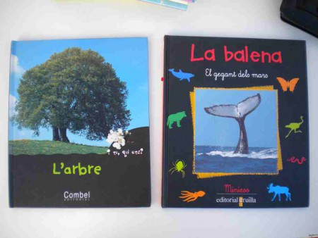 Llibres infantils educatius